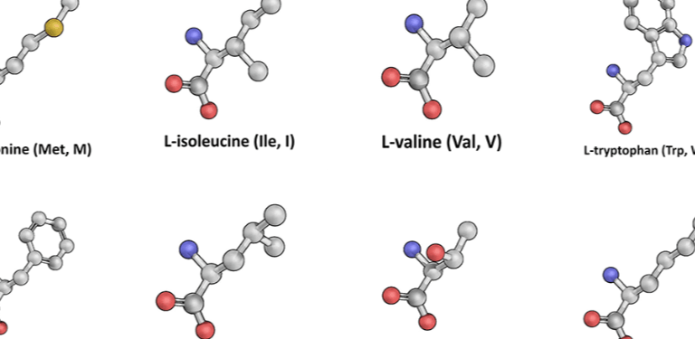 Advanced Amino Formula Website Builder